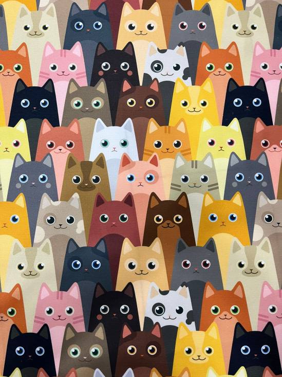 KEDİ DESEN ETNİK - 0
