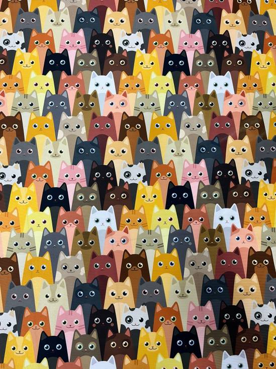 KEDİ DESEN ETNİK - 2